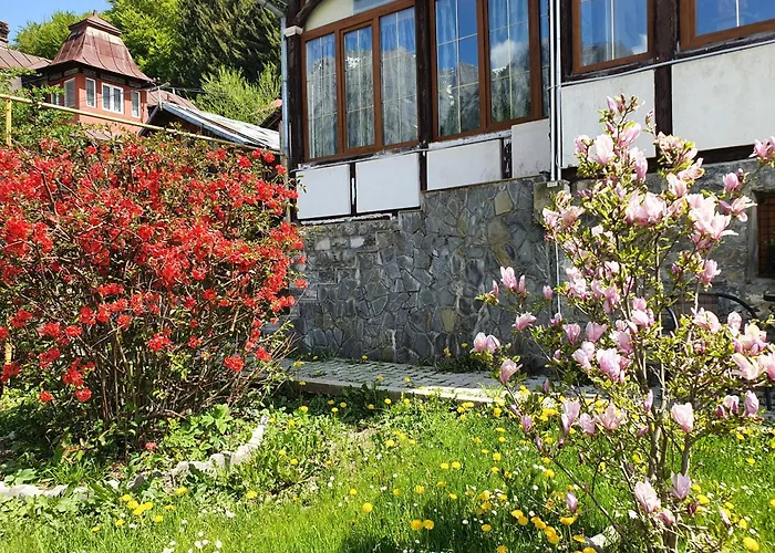 Vila Bradet Buşteni
